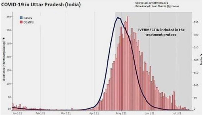 ivermectin, India, vaccinated